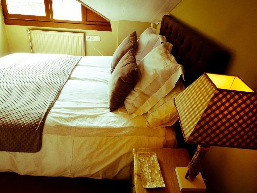 Apartamentos Formigal - Admite Mascotas - ภายนอก รูปภาพ
